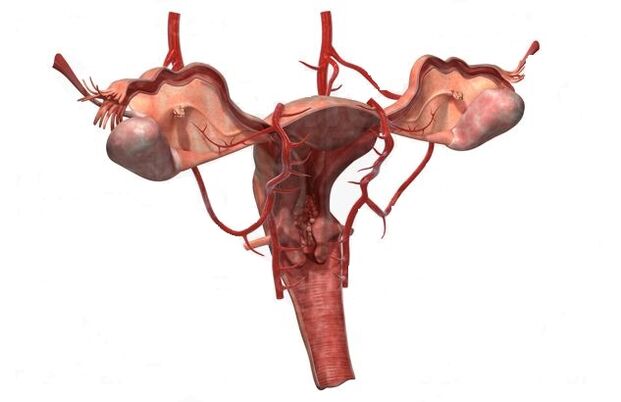 vzroki za razvoj krčnih žil majhne medenice